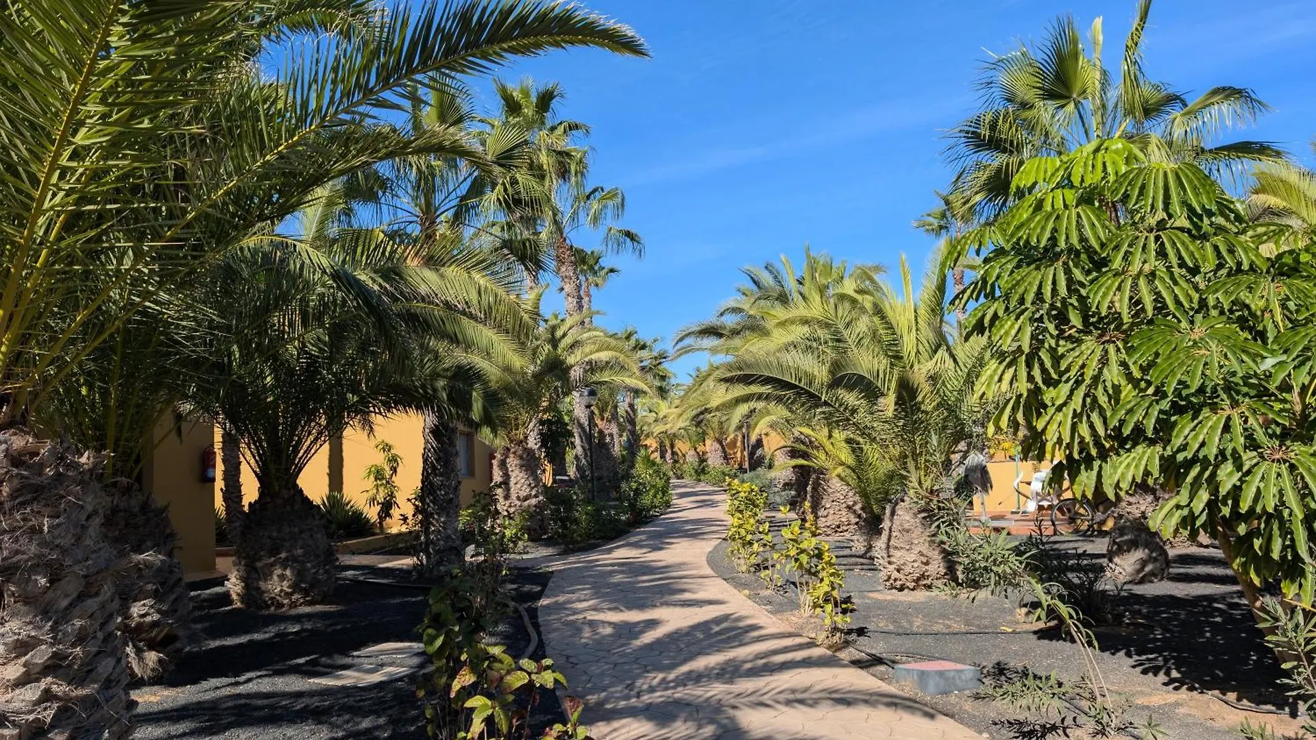 Apartamento Casa Miro Corralejo