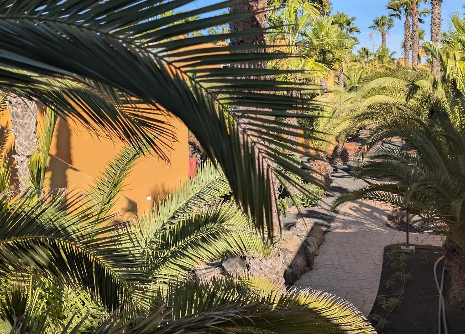 Apartamento Casa Miro Corralejo 0*,